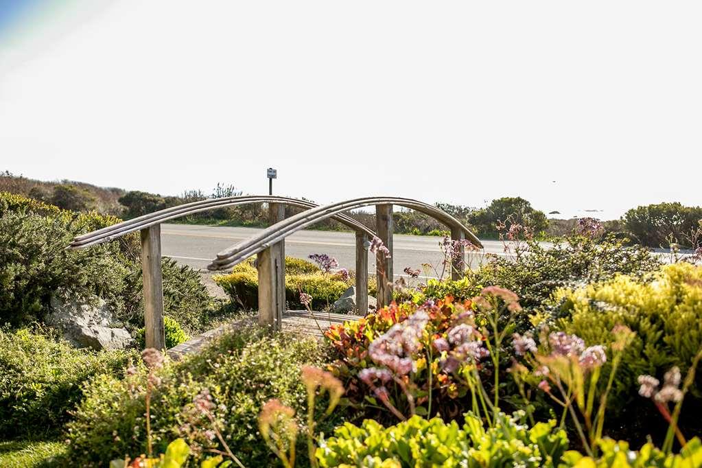 Sea Otter Inn Cambria Eksteriør billede