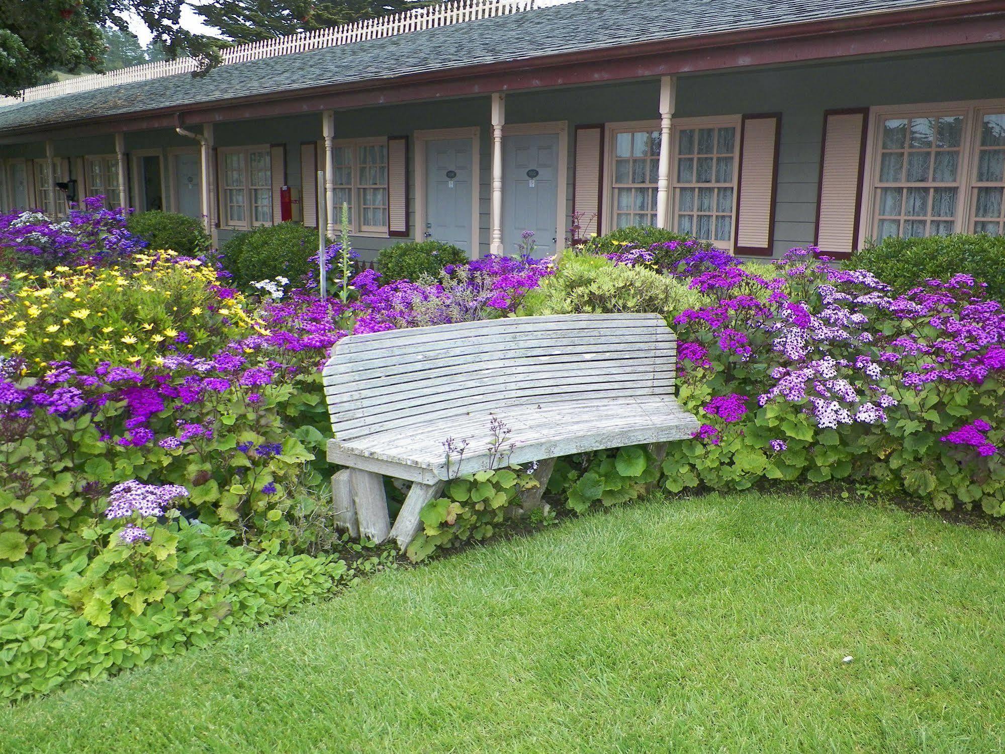 Sea Otter Inn Cambria Eksteriør billede